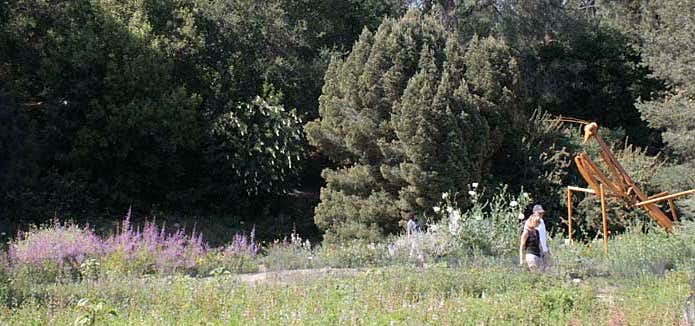 Photo of Rancho Santa Ana Botanic Garden