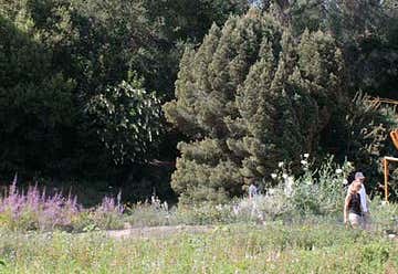 Photo of Rancho Santa Ana Botanic Garden