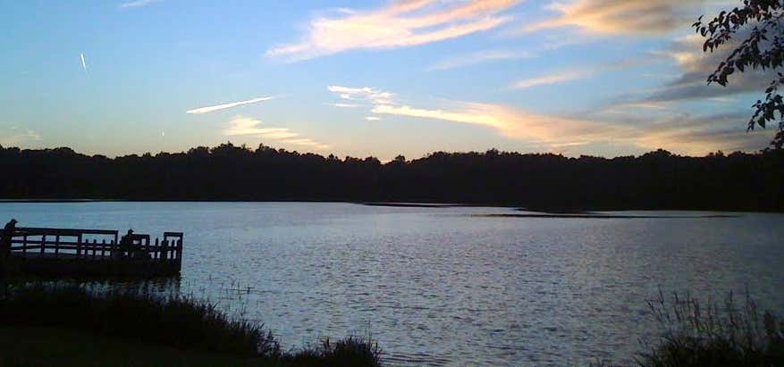 Photo of Shreve Lake Wildlife Area