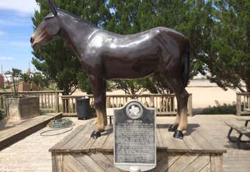 Photo of National Mule Memorial
