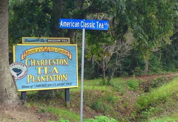 Photo of Charleston Tea Plantation