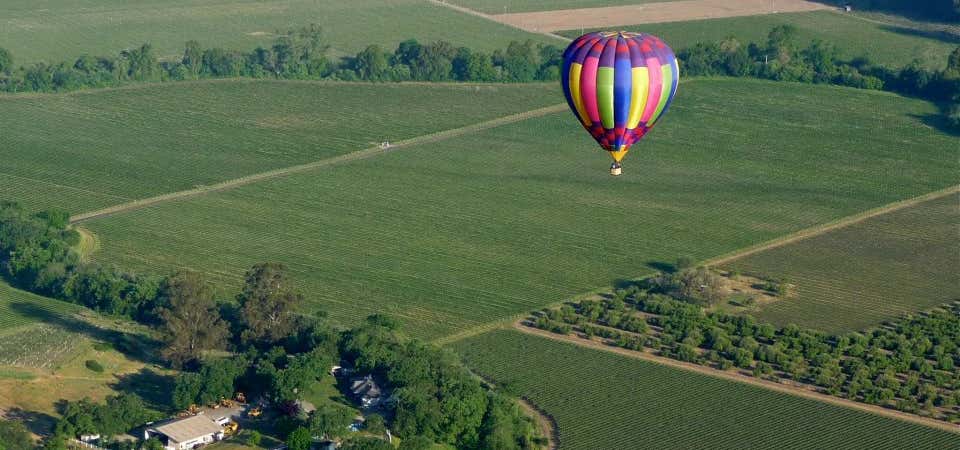 Photo of Above The Wine Country Balloons and Tours