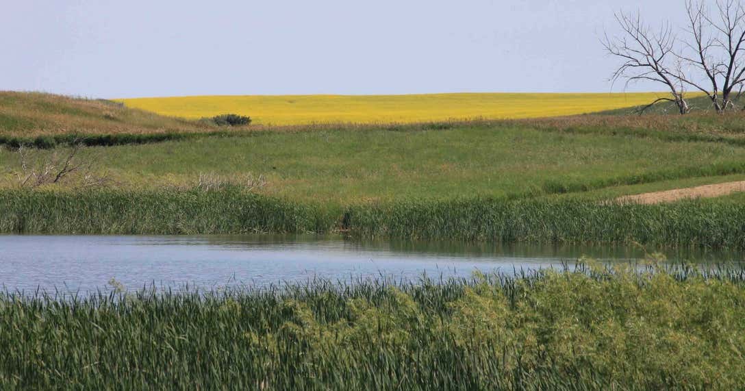 Audubon National Wildlife Refuge, Coleharbor Roadtrippers