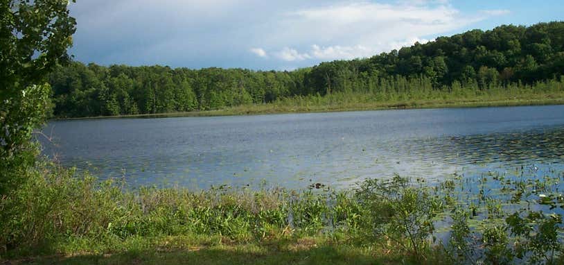 Photo of Cranberry Lake Campground