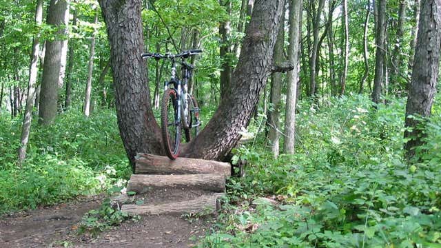 Fort custer hot sale bike trails