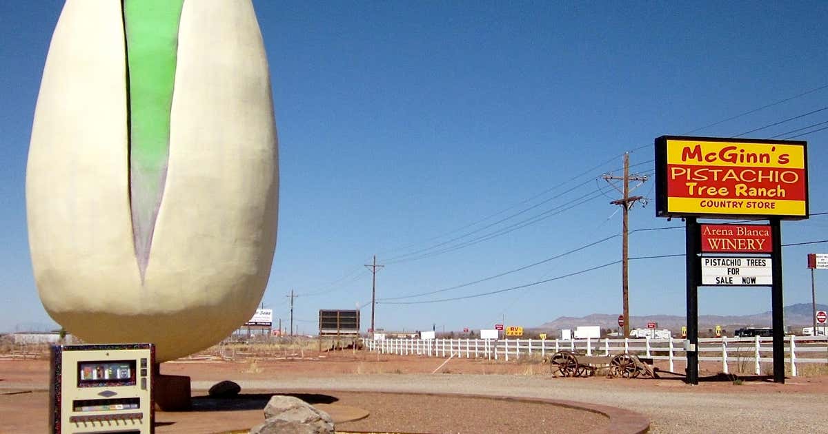McGinn's Pistachio Tree Ranch, Alamogordo Roadtrippers