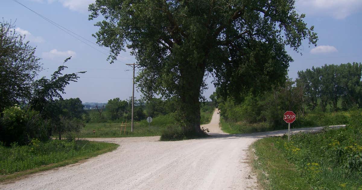 Tree in the Middle of the Road, Brayton Roadtrippers