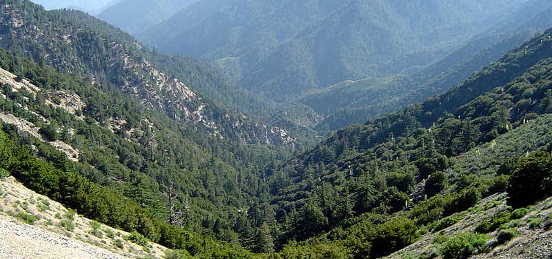 Photo of Angeles National Forest