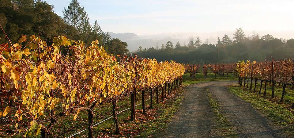 Photo of Gold Country Wine Tours