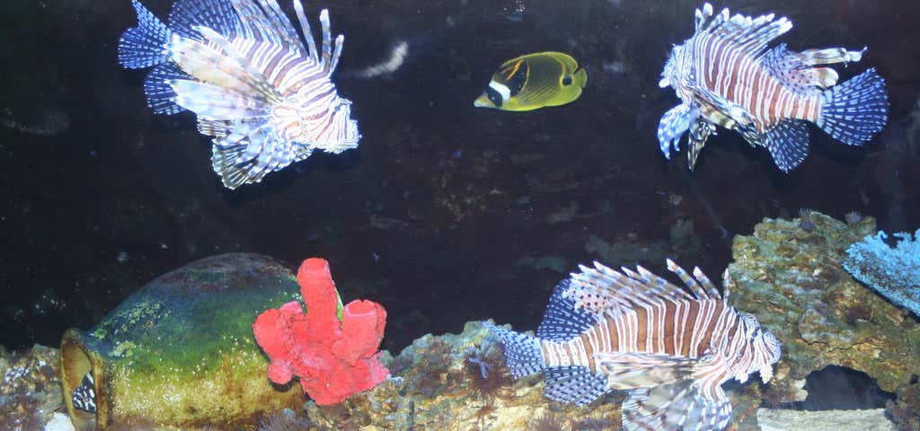 Photo of Idaho Aquarium