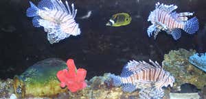 Idaho Aquarium