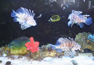 Photo of Idaho Aquarium