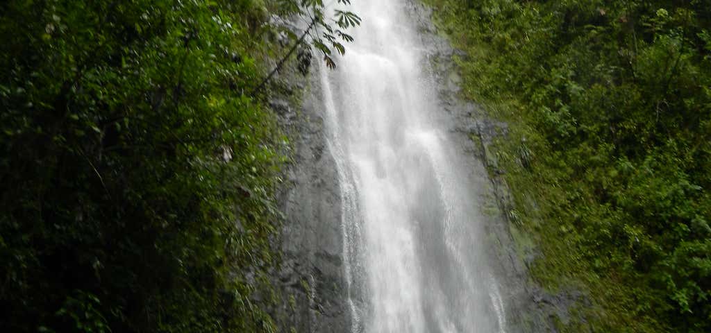 Photo of Manoa Falls