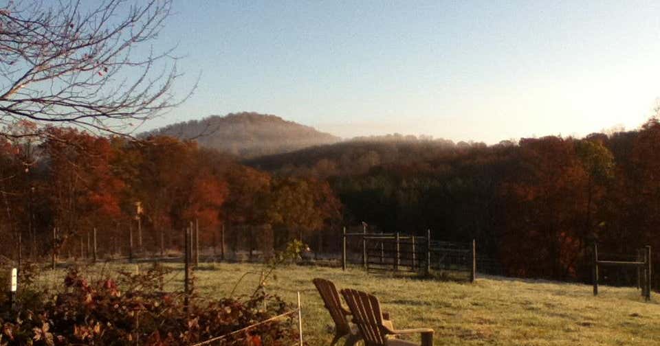 Brightwood Vineyard and Farm Cottage B&B, Brightwood Roadtrippers