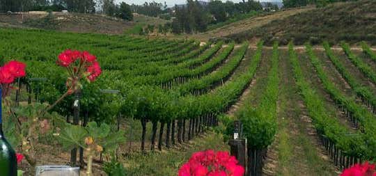 Photo of Bella Vista Winery of Temecula, Inc.