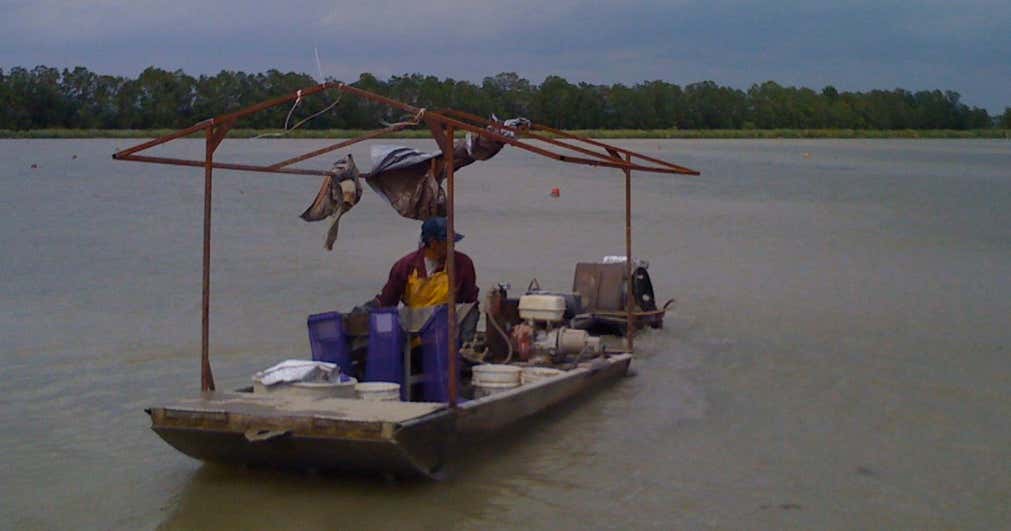 Audubon RV Park, Abbeville Roadtrippers