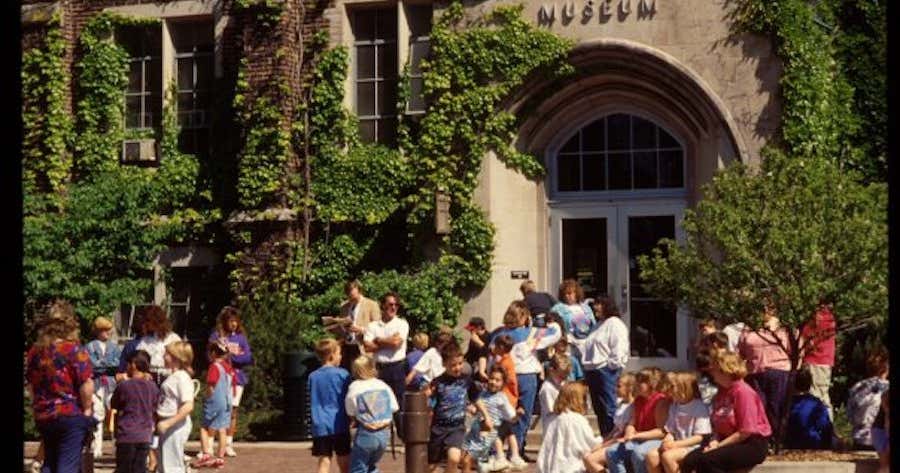 Michigan State University - Museum, East Lansing ...