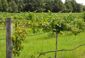 Photo of Monticello Vineyards & Winery