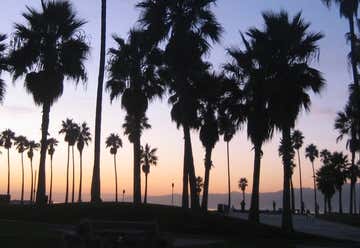 Photo of The Venice Palms