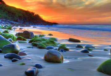 Photo of Noosa National Park