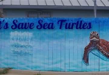 Photo of Navarre Beach Sea Turtle Conservation Center