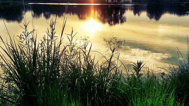 Lakeview Rv Park Eunice La Roadtrippers