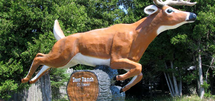 Photo of Deer Ranch