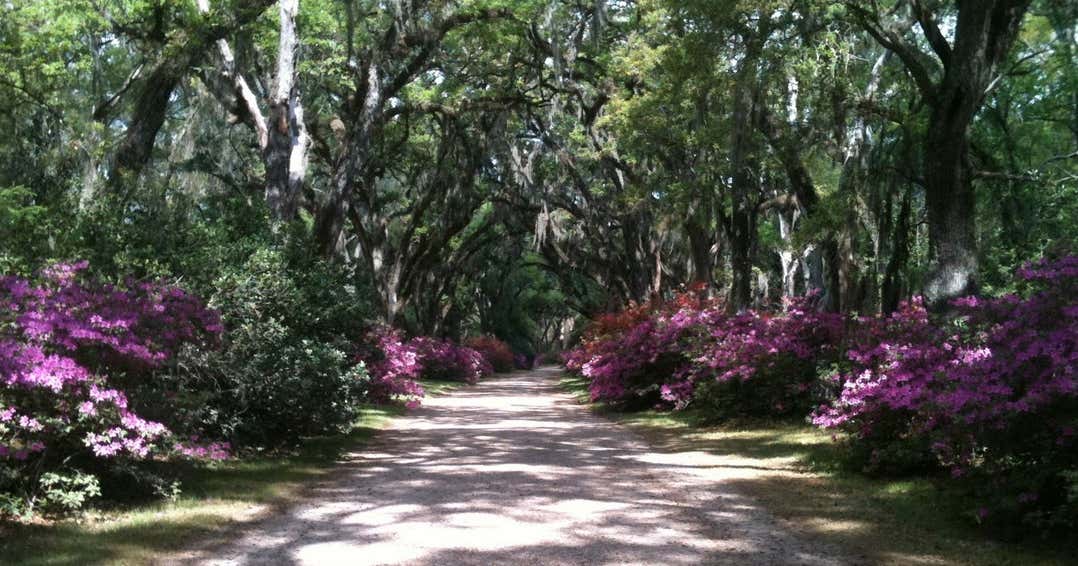 Afton Villa Gardens, St. Francisville Roadtrippers