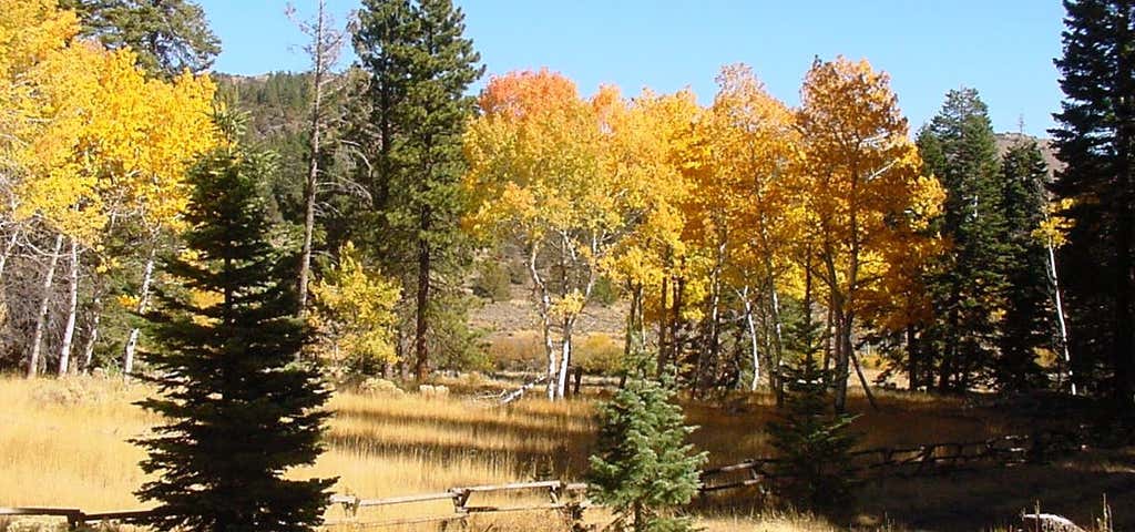 Photo of Modoc National Forest