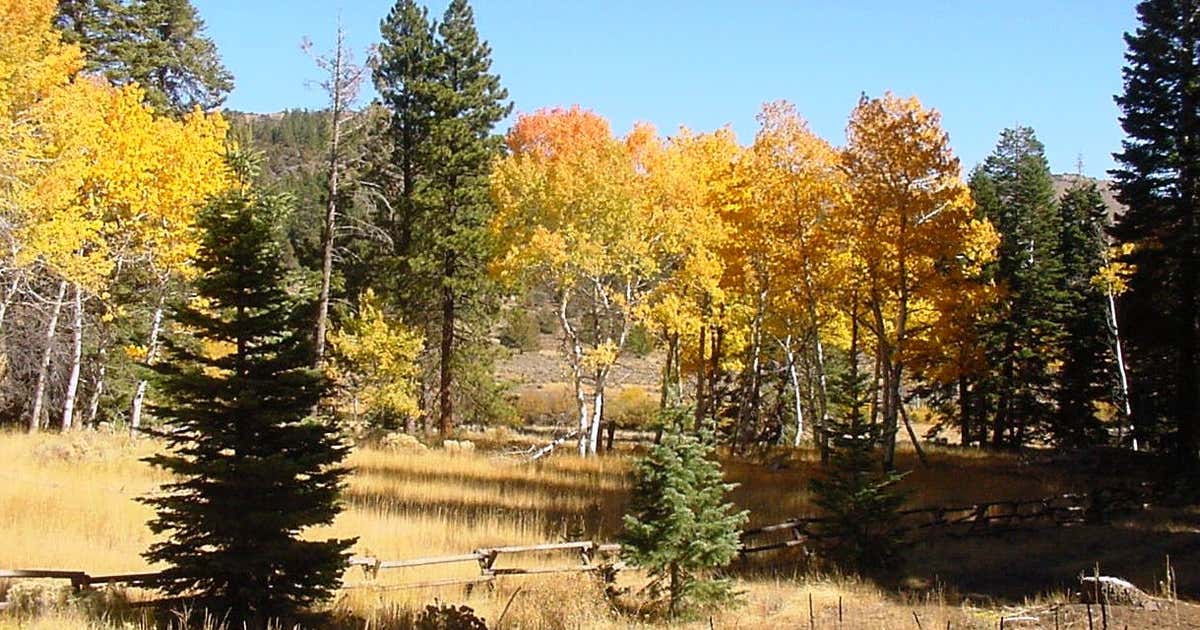 Modoc National Forest, California Roadtrippers