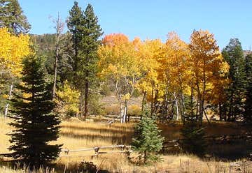 Photo of Modoc National Forest