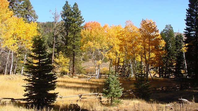 Modoc National Forest Ca Roadtrippers