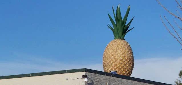 Photo of Giant Pineapple