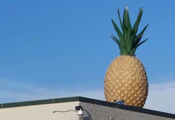 Photo of Giant Pineapple