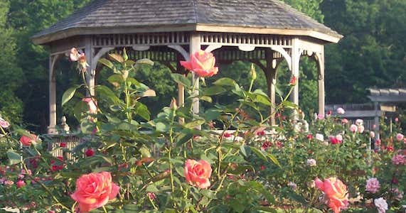 1884 Paxton House Inn Reservations, Thomasville | Roadtrippers