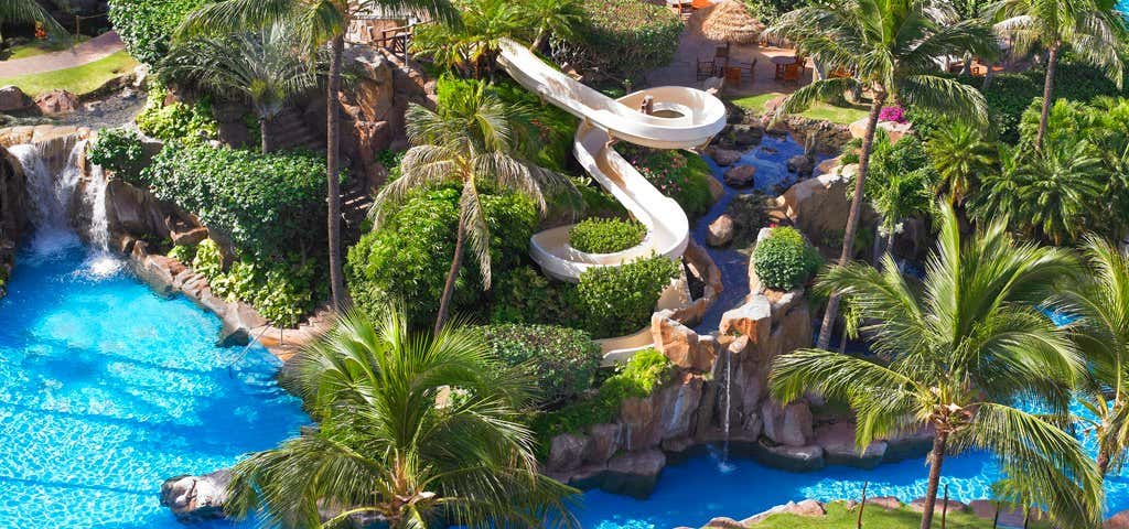 Photo of The Westin Maui Resort & Spa Ka'anapali