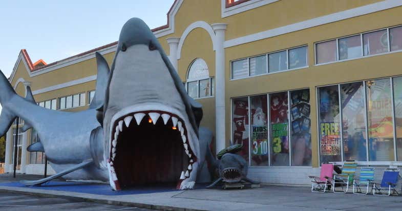 Shark Attack Sneads Ferry Roadtrippers