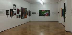 Rainforest Art Foundation