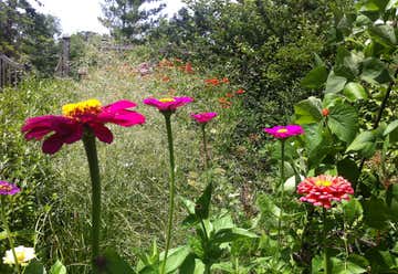 Photo of Newbury Park Hummingbird Garden