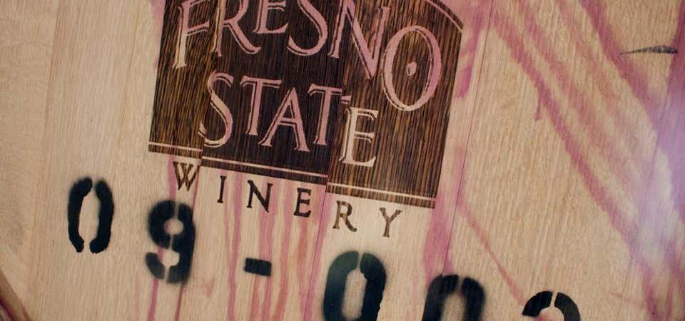 Photo of Fresno State Vineyards