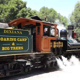 Roaring Camp & Big Trees Narrow-Gauge Railroad