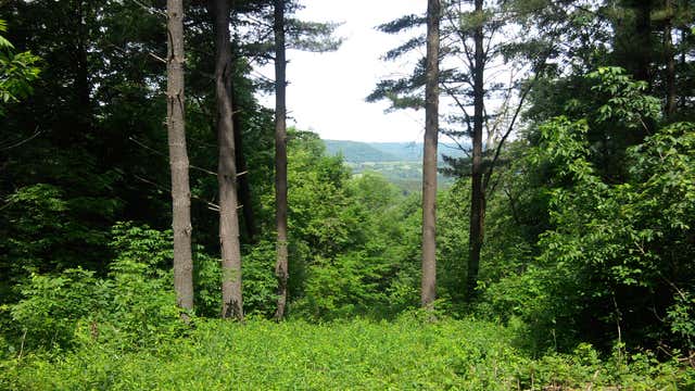 Wildcat Mountain Ontario Wi Roadtrippers