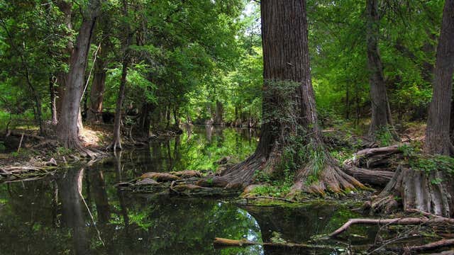 Cibolo Nature Center Boerne Tx Roadtrippers