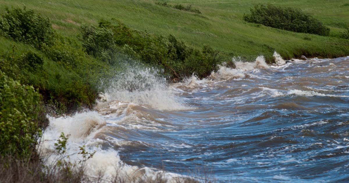 Brush Lake State Park, Reserve Roadtrippers