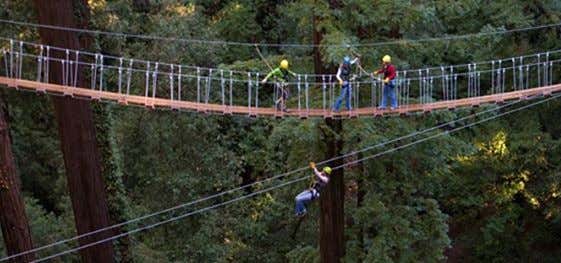 Photo of Redwood Canopy Tours At Mount Hermon