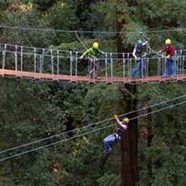 Redwood Canopy Tours At Mount Hermon