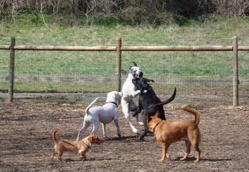 Photo of French Broad River Dog Park