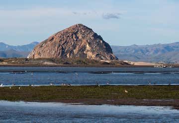Photo of Morro Bay State Park