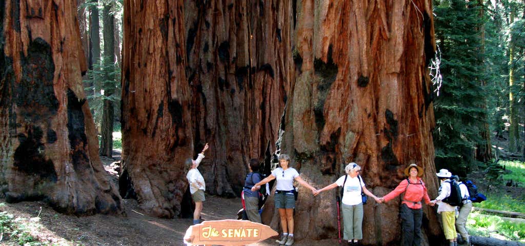 Photo of Giant Sequoia National Monument