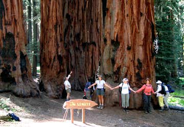 Photo of Giant Sequoia National Monument